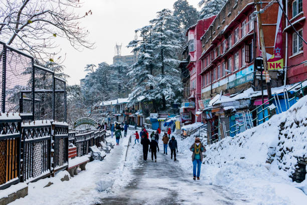 5 Nights 6 Days Shimla - Manali Tour Image