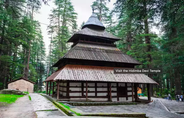 Mystic Manali  Cab Package from Delhi