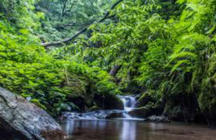 Enchanted Tirthan  3N 4D