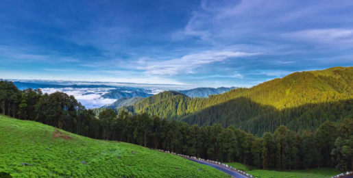 Enchanted Tirthan  3N 4D