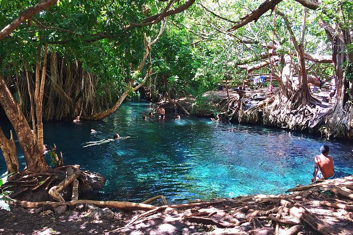 Kikuletwa Hotspring Day Tour