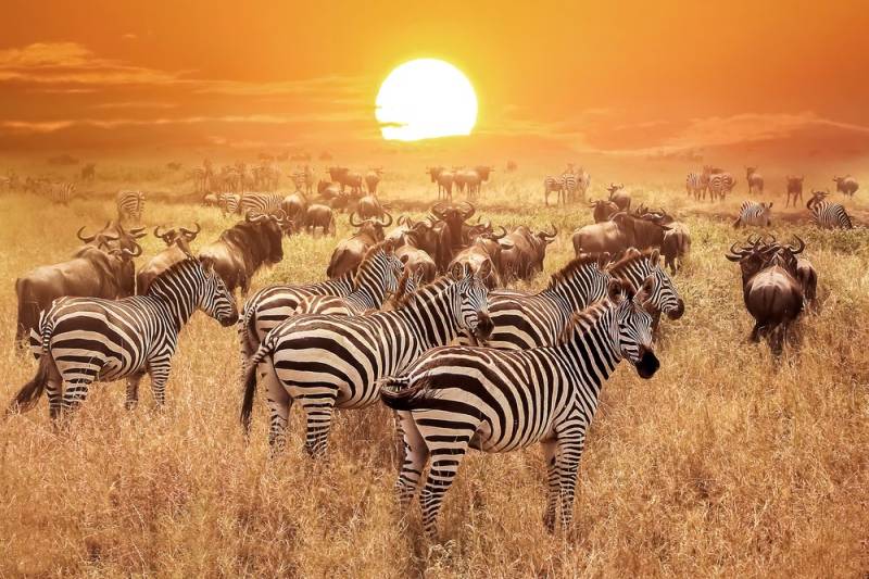 3 Days Serengeti - Ngorongoro Tour