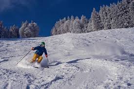 2 Nights 3 Days Shimla Volvo Package