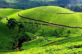 4 Days Munnar - Alleppey Tour Package