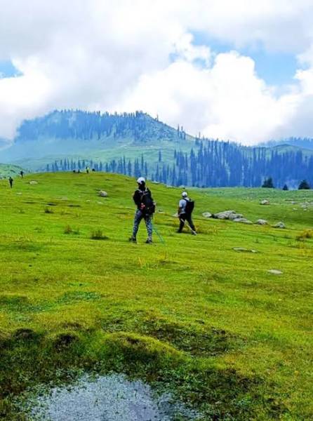 5 Nights 6 Days Kashmir Tour