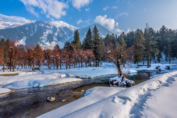 5 Nights 6 Days Kashmir Tour
