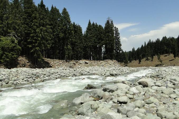 4 STAR FAMILY/FRIEND TOUR