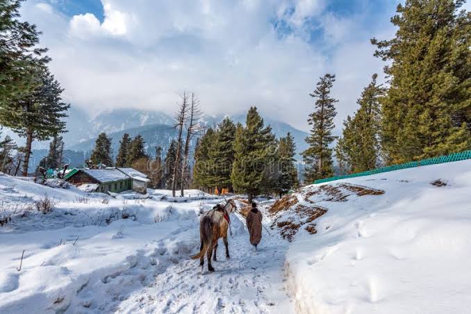 3 STAR FAMILY TOUR PACKAGE