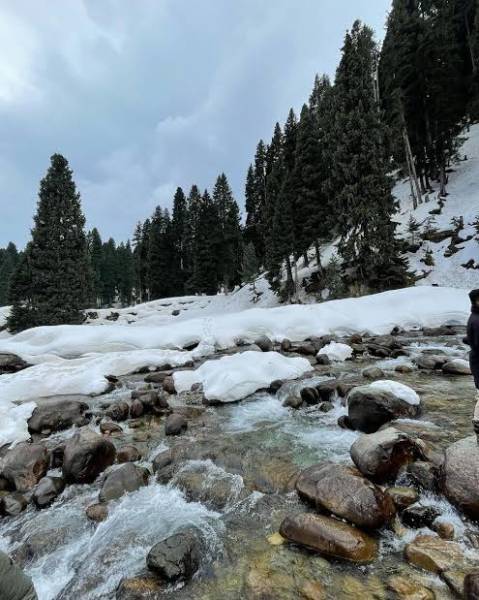 2 STAR FAMILY/FRIEND TOUR PACKAGE