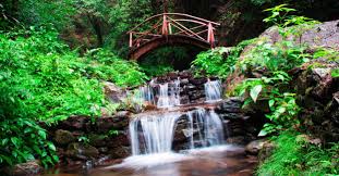 Jibhi - Jalori - Tirthan Valley