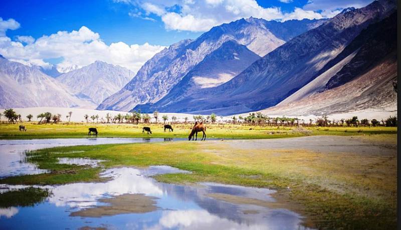 05 Nights & 06 Days Leh - Ladakh Tour Pacakge