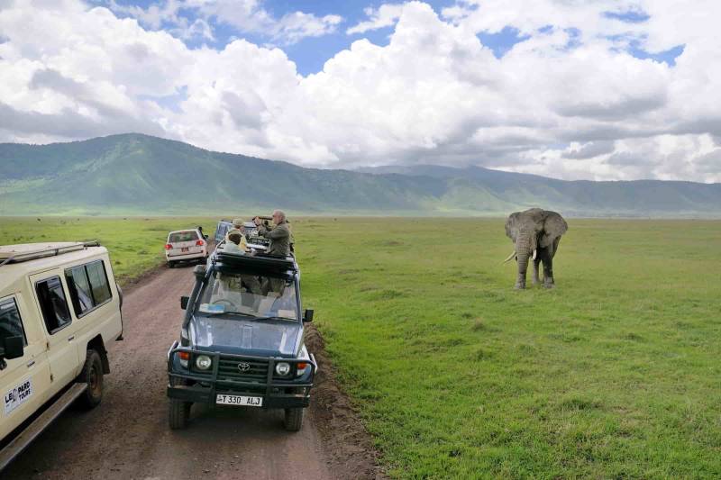 Manyara - Ngorongoro 4 Days Safari Tour