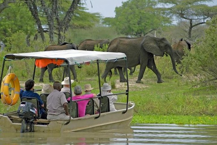 6 Days Selous - Nyerere - Mikumi Adventures Tour