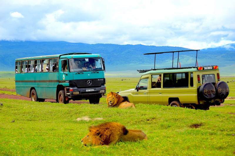 4D Safaris To Serengeti-Ngorongoro-Tarangire-Nyerere National Parks Tour Image