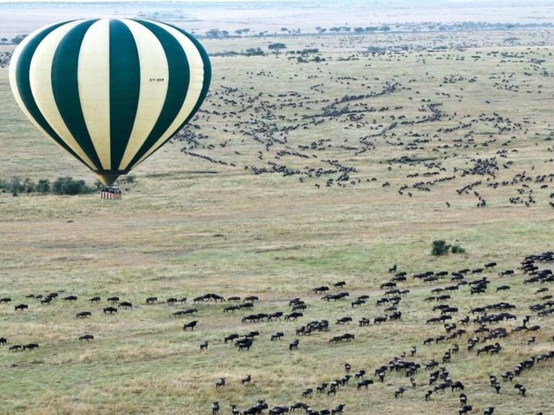 5-Day Tanzania Wildlife Breakaway (Serengeti Fly-in)