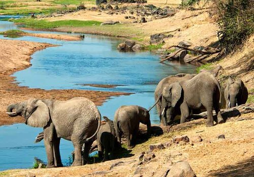 5-Day Safari and Kilimanjaro Foothill Tour from Zanzibar