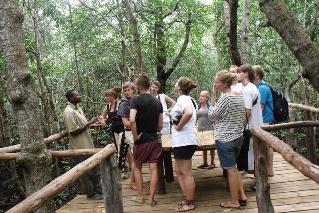 One Day Jozani Forest National Park Tour