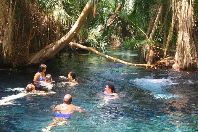 1 Day Materuni Waterfalls - Coffee Experience And Hot Springs Tour