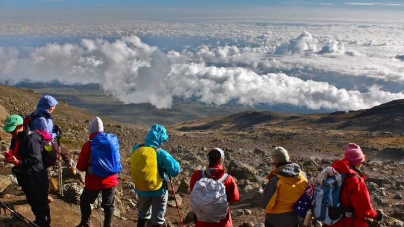 7D Mount Kilimanjaro Via Rongai Route Tour