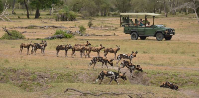 3Day Nyerere National Park Safari Adventure Tour