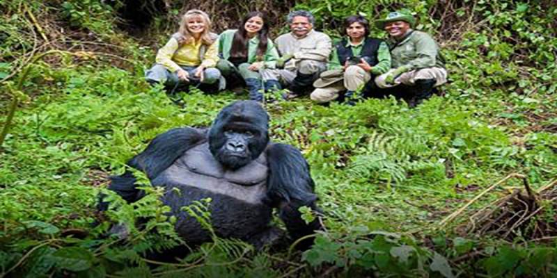 14Day Group Joining Gorillas Trekking Kenya - Tanzania Tour