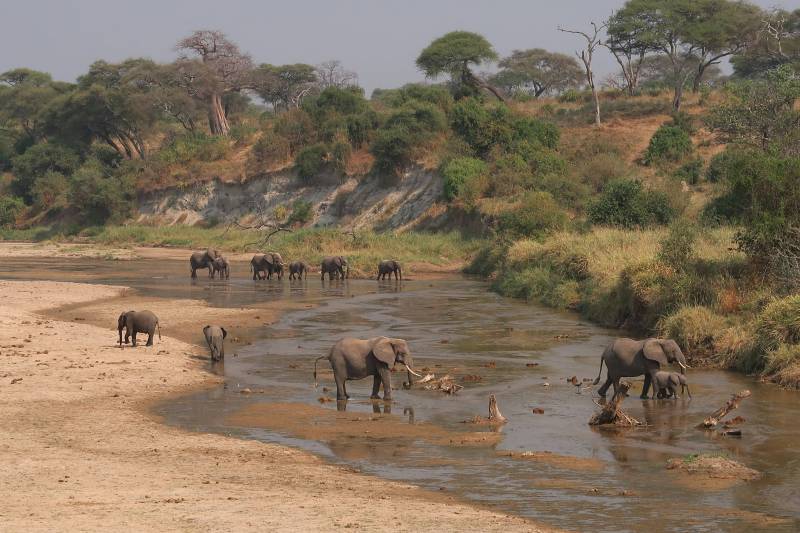 5 Night 6 Day Tarangire, Serengeti, Ngorongoro and Lake Manyara Joining Group Safari