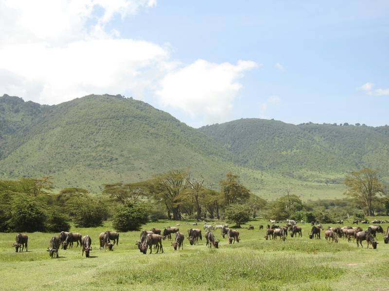5 Night 6 Day Tarangire, Serengeti, Ngorongoro and Lake Manyara Joining Group Safari