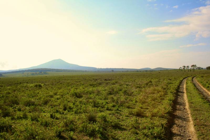 5 Night 6 Day Tarangire, Serengeti, Ngorongoro and Lake Manyara Joining Group Safari