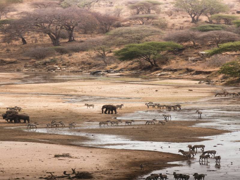 6 Night 7 Day Ultimate Tanzania Wildlife & Culture Adventure