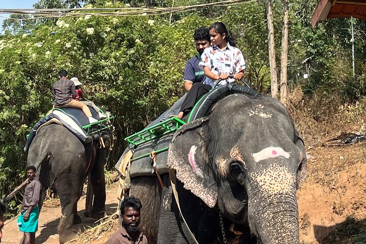 Cochin - Munnar Packages