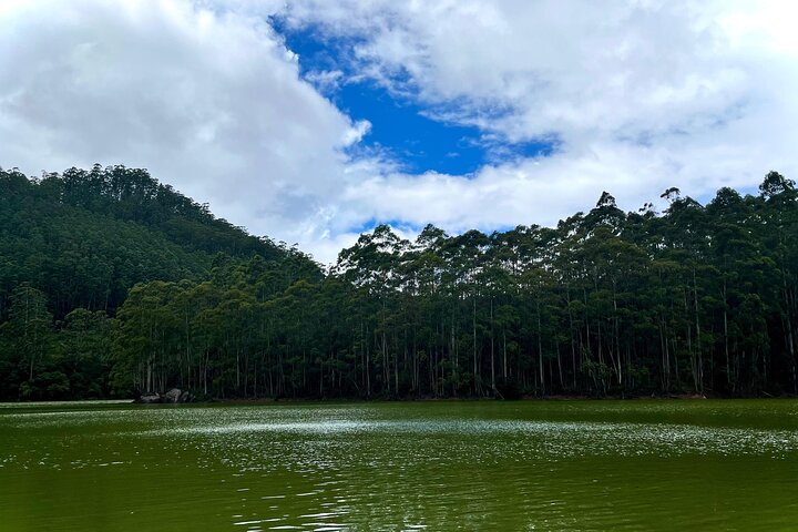 Cochin - Munnar Packages