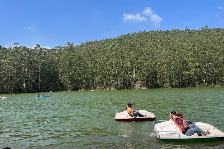 Cochin - Munnar Packages