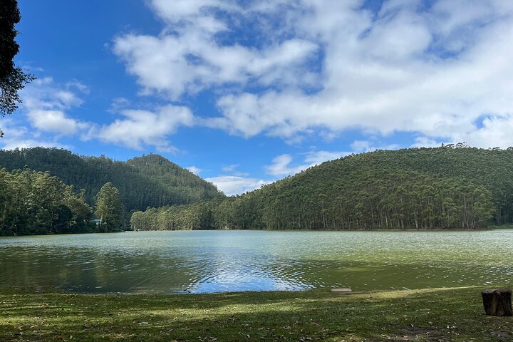 Cochin - Munnar Packages