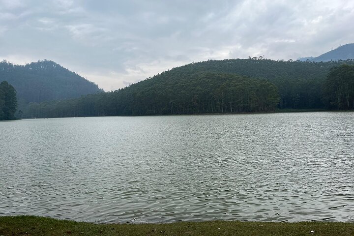 Cochin - Munnar Packages