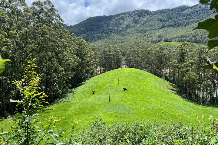 Cochin - Munnar Packages