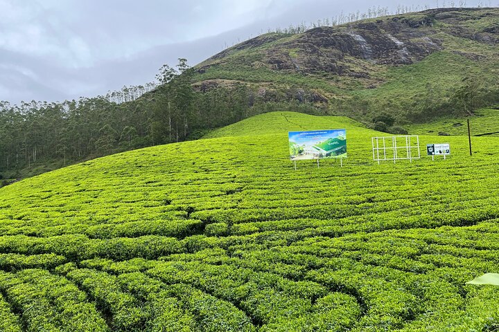 Cochin - Munnar Packages