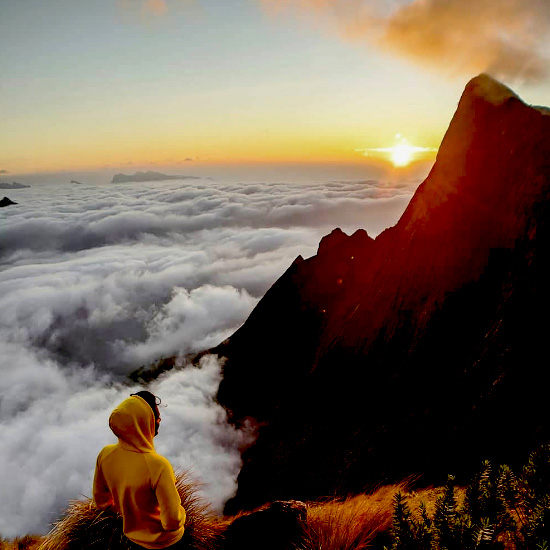 Cochin - Munnar Packages