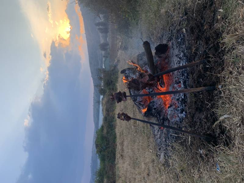 9 Nights 10 Days Safari, Wildlife Experience and Adventure Tour