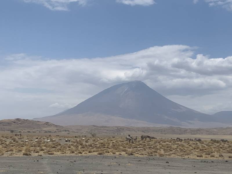 9 Nights 10 Days Safari, Wildlife Experience and Adventure Tour