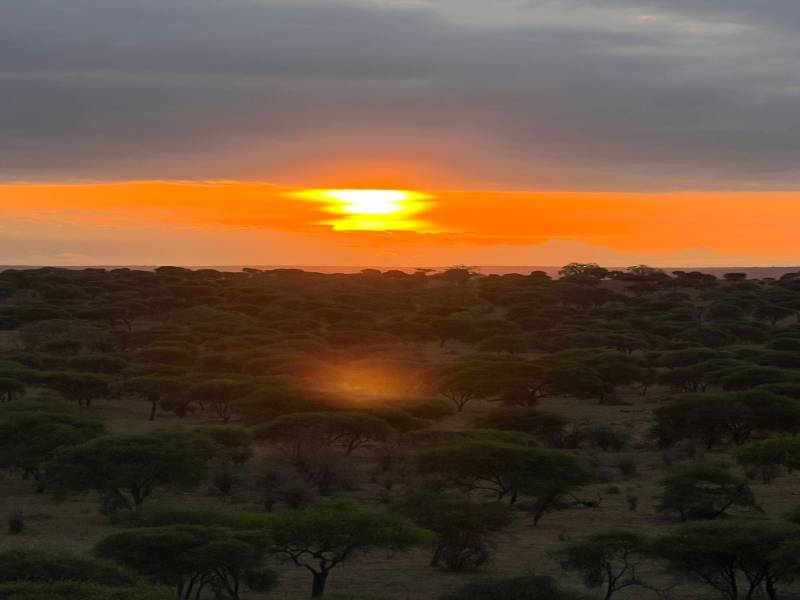 9 Nights 10 Days Safari, Wildlife Experience and Adventure Tour