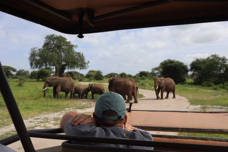 7 Nights 8days Safari Tour