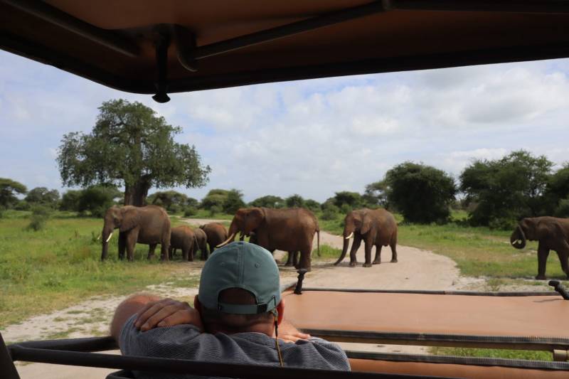 6 nights 7 days Safari Trip