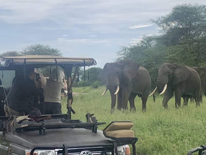 6 nights 7 days Safari Trip