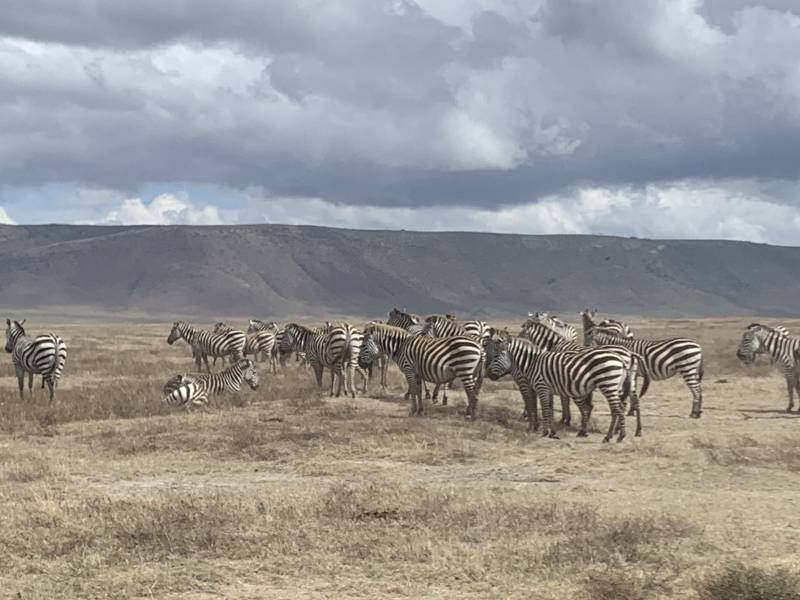 6 nights 7 days Safari Trip