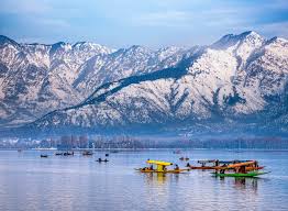 Spring Blossoms Kashmir The Meadow Of Flowers