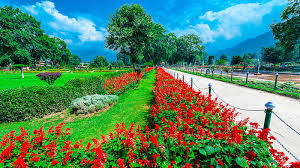 Kashmir Serenity Discovering Tranquil Landscapes Image