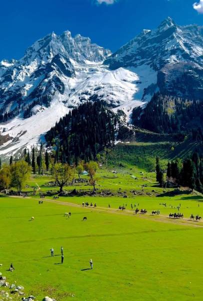 Kashmir Tour Packages