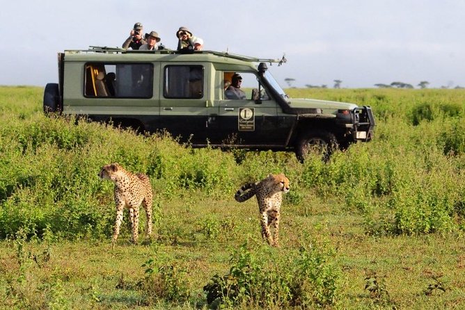 6 Days - 5 Nights Luxury Lodge Safari Tour