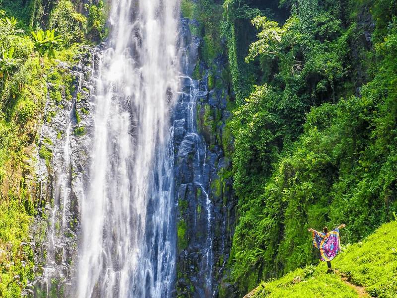 One Day Materuni Waterfall - Coffee Tour