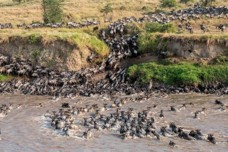 7 Day Mara River Crossing And Cultural Tours